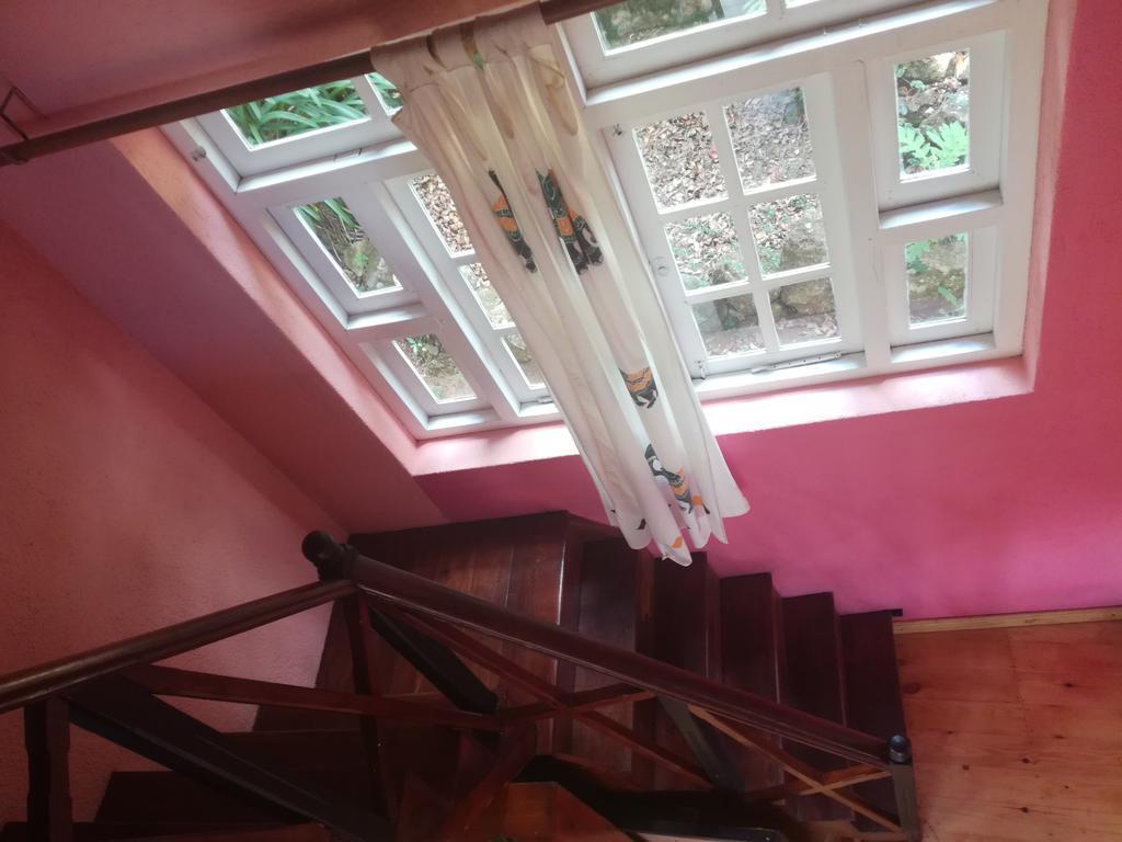 Sincere Wilderness Home stay Nuwara Eliya Exterior foto